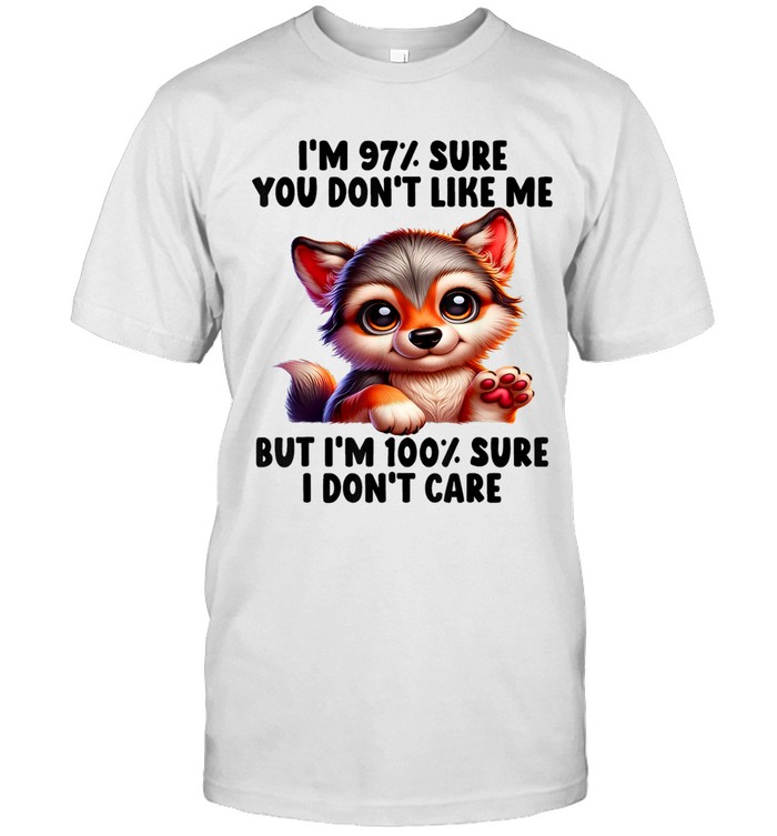 I'M 97% SURE YOU DON'T LIKE ME BUT I'M 100% SURE I DON'T CARE